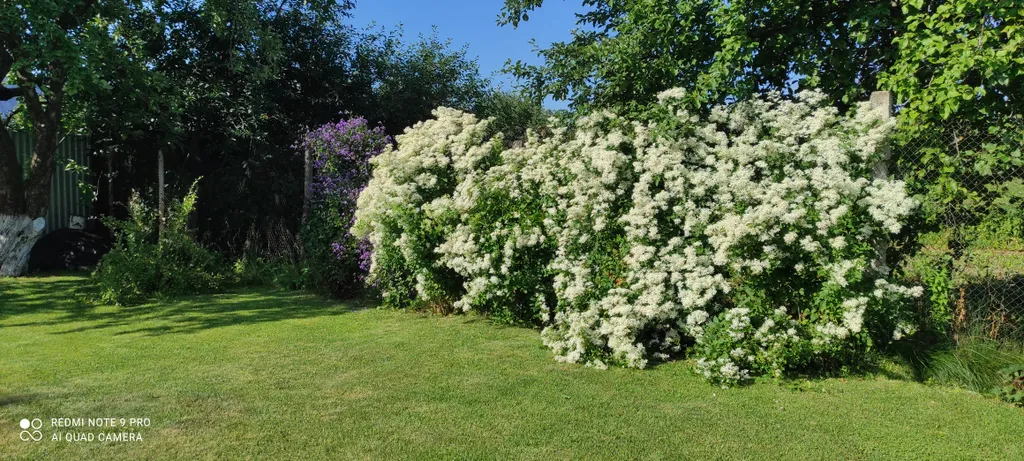 Частный дом Валентина