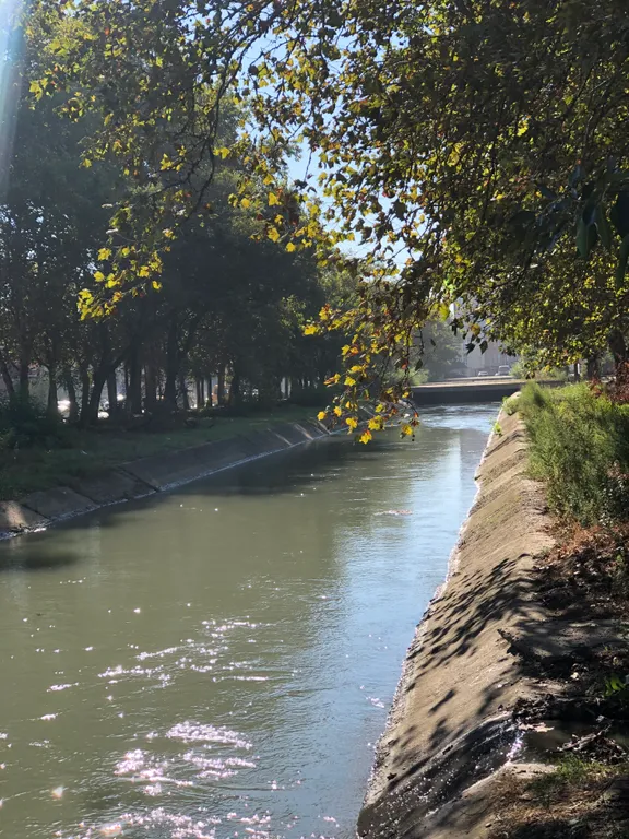 Студия с видом на Тарки-Тау