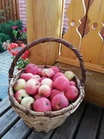 Васильевский дворик
