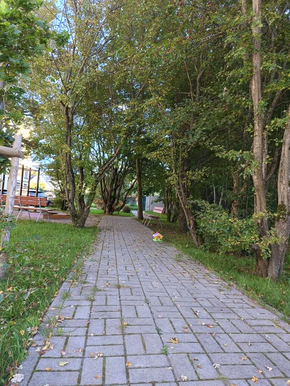 Квартира Апартаменты с видом на парк — Калининград