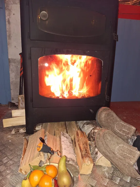 Барнхаус в лесу с розовой гостиной