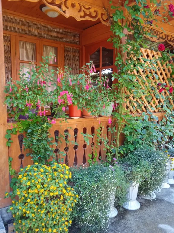 1-комнатный Дом