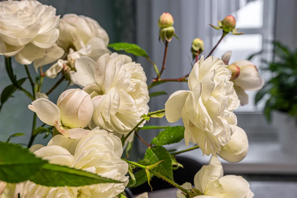 Уютная квартира в самом красивом месте города