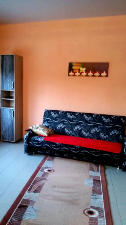 Студия с террасой