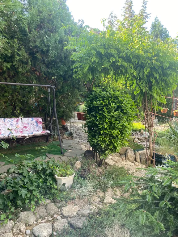 На даче у моря