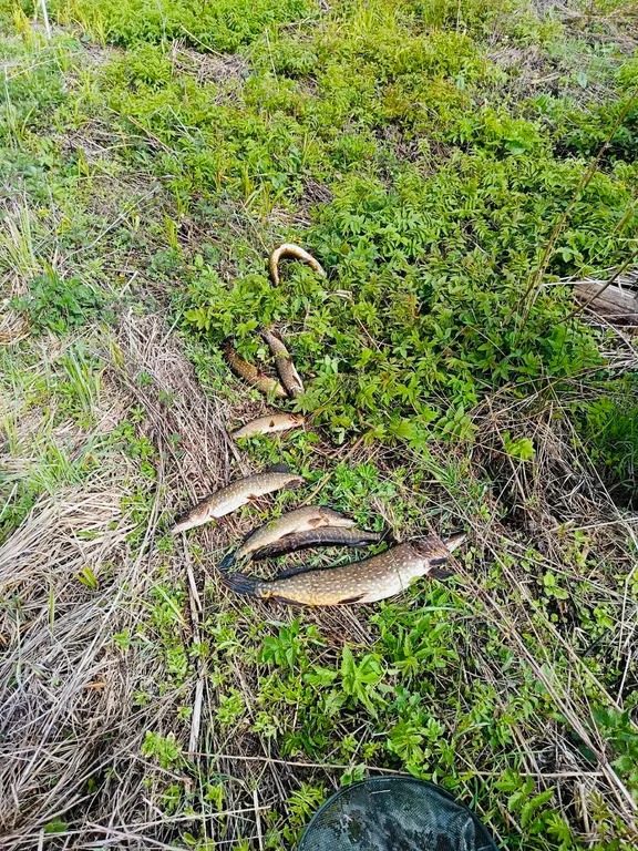 Усадьба Рай на Щеберихе