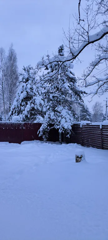 Дом в дубах