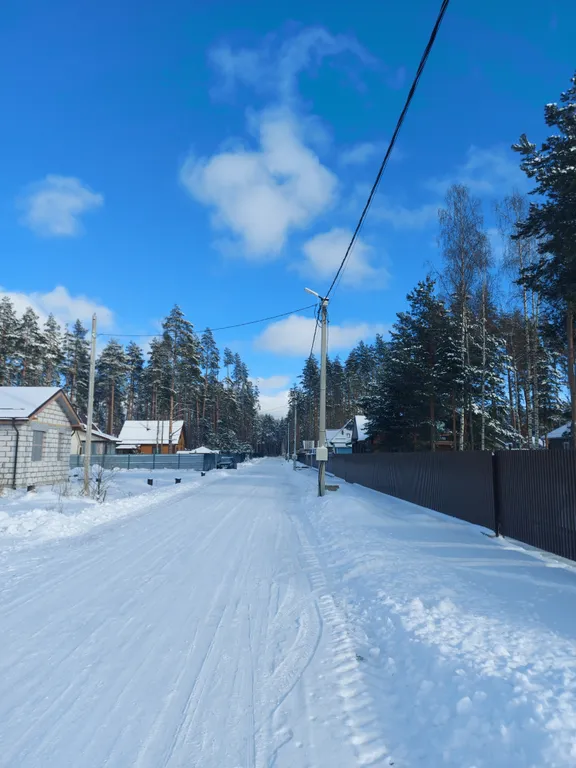 Уютный новый дом в сосновом лесу на берегу Финского залива