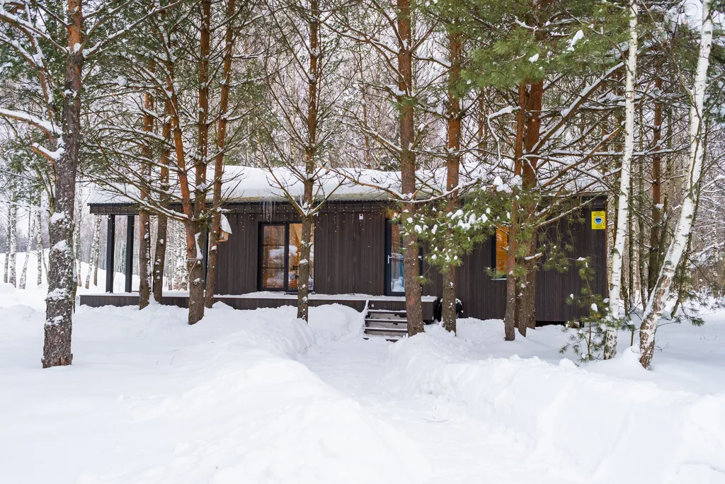 Домик Barn60 без купели 60 м2