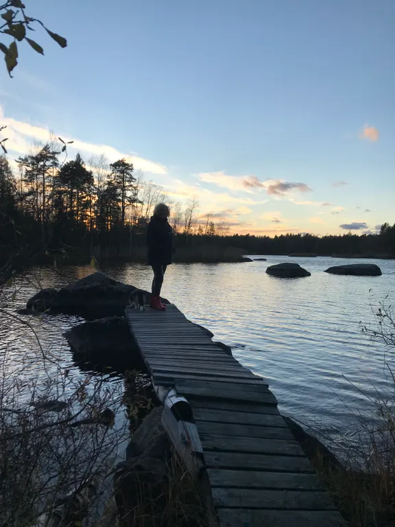 Уютный коттедж у озера недалеко от Выборга и границы