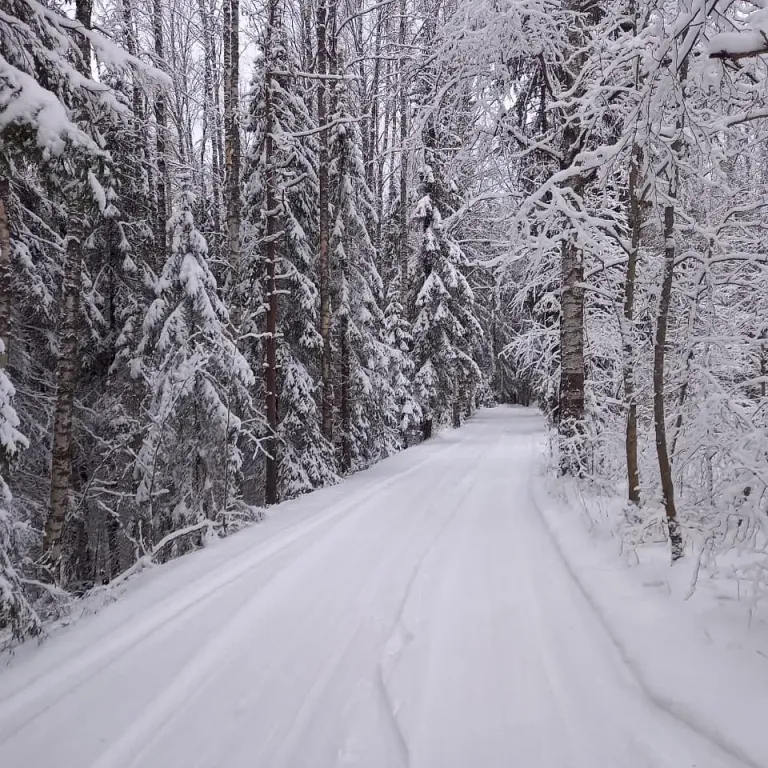 Дом на берегу озера без соседей