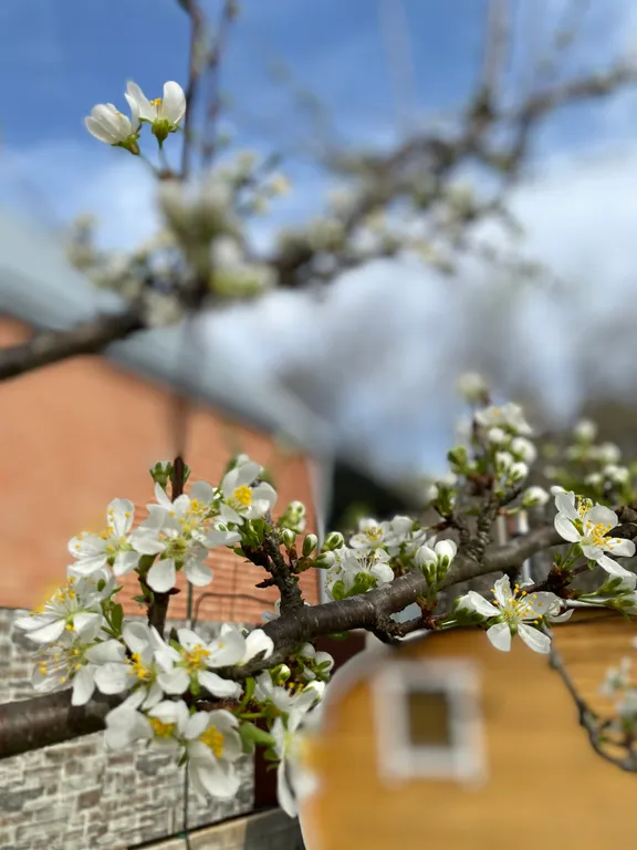 Коттедж Коттедж Дача с банькой в живописном лесу — Горячий Ключ