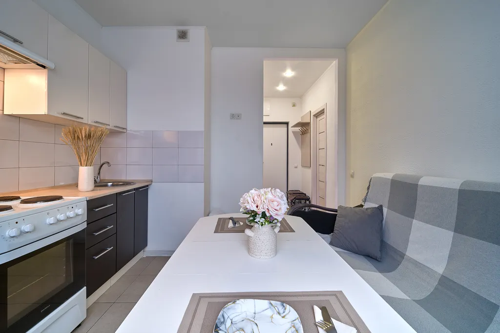 Однокомнатная квартира с двуспальной кроватью и диваном