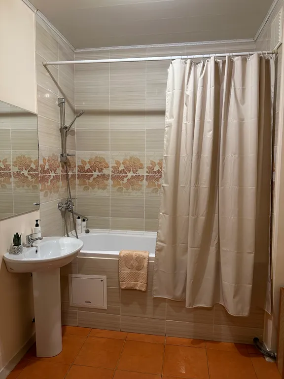 Большая однокомнатная квартира у парка