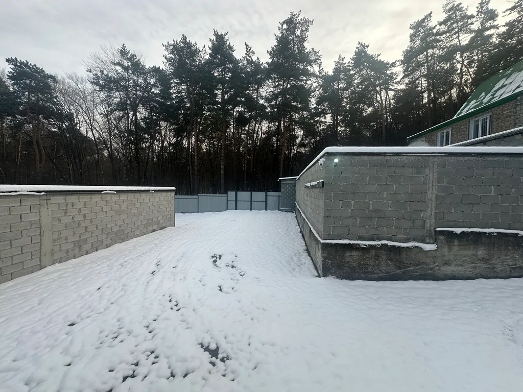 Дом-мечта в сосновом лесу Янтарное солнце