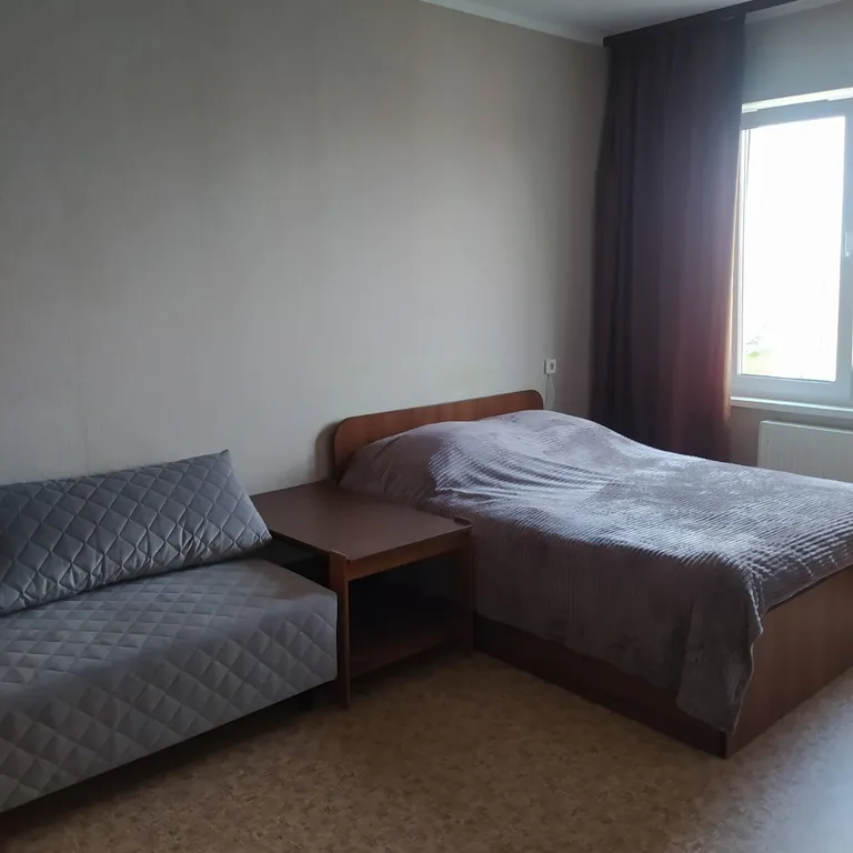 Просторная однокомнатная квартира.