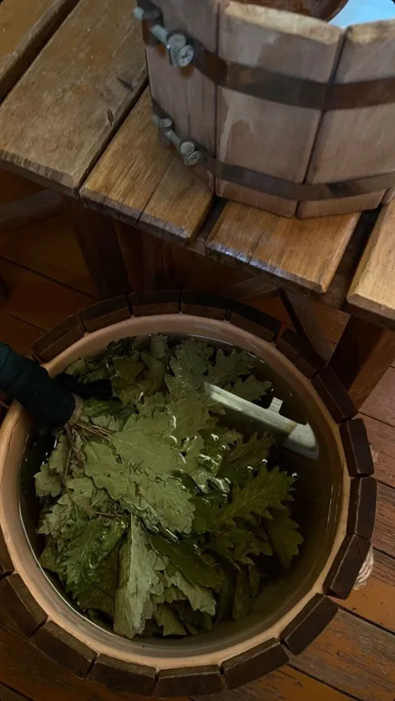 Дом с баней и чаном на дровах