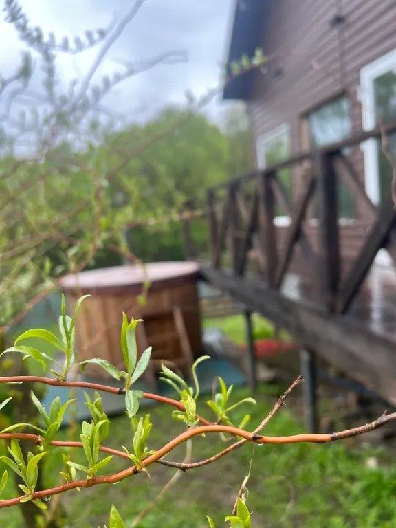 Гостевой дом Сота