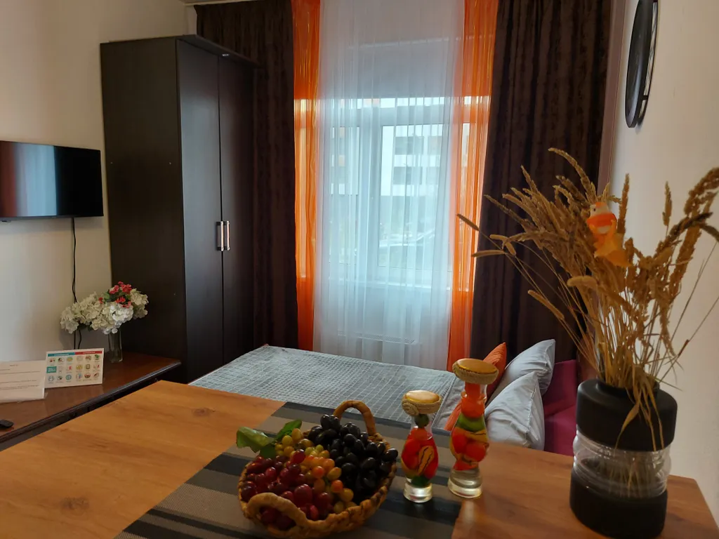 Яркая, уютная студия у Онкоцентра имени Цыба А. Ф