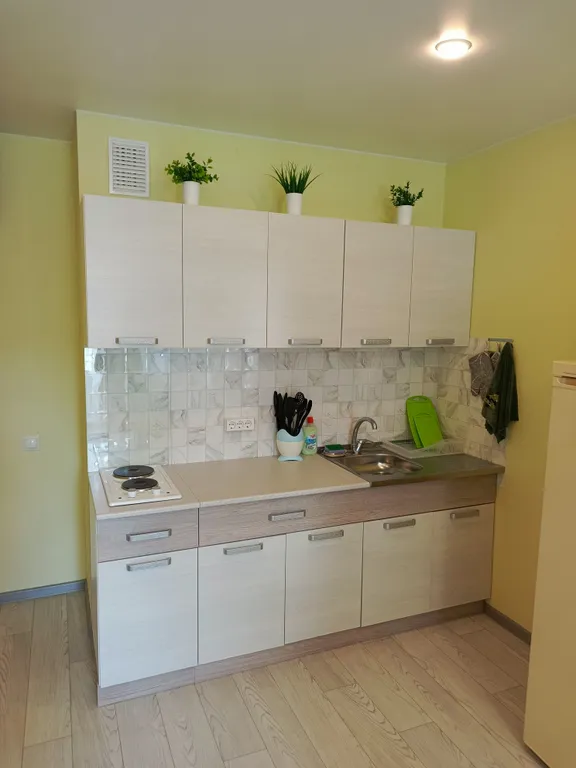 Квартира в Мурино