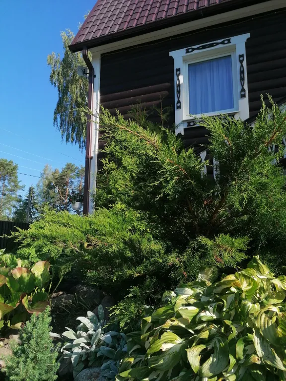 Уютные апартаменты на берегу живописной реки