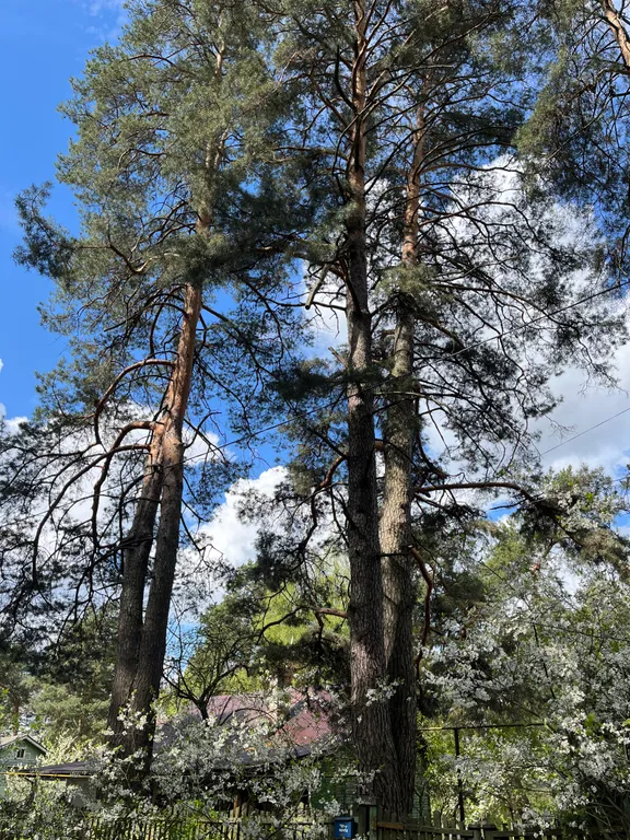 Студия уединения и комфорта в Солотче