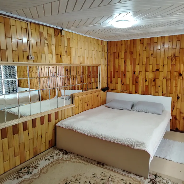 Глубинка Алтая, дом с камином на берегу реки