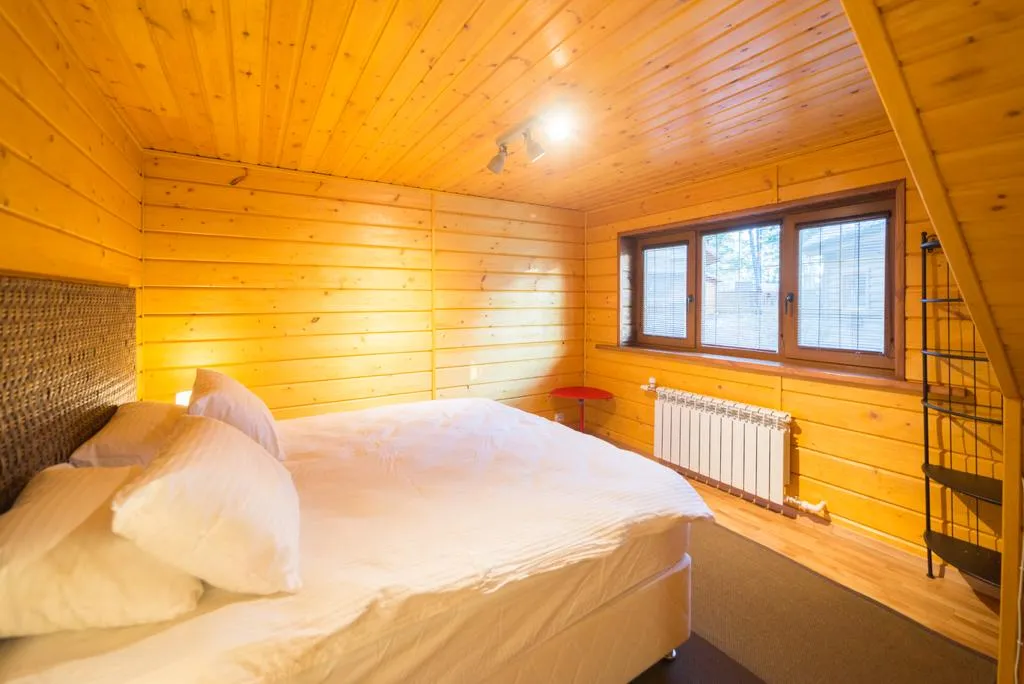 Коттедж Дом для отдыха рядом с рекой Луга — Луга