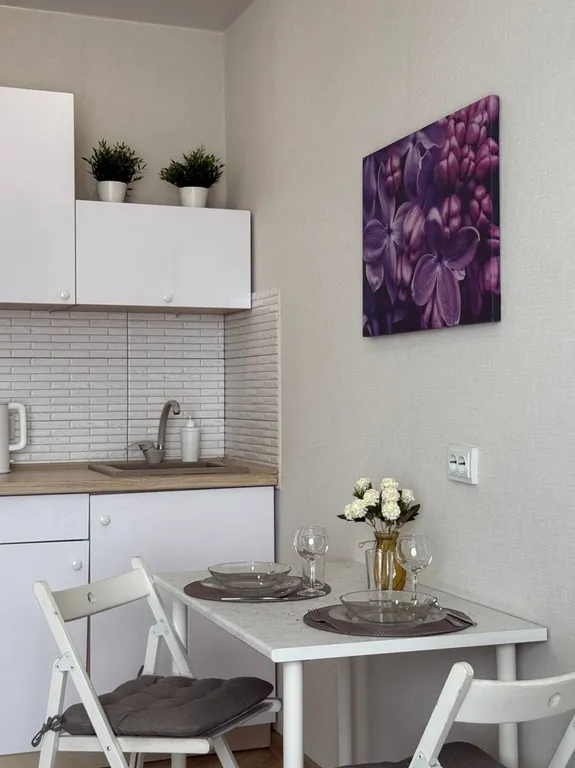 Квартира Уютная квартира возле зоопарка в центре города — Новосибирск