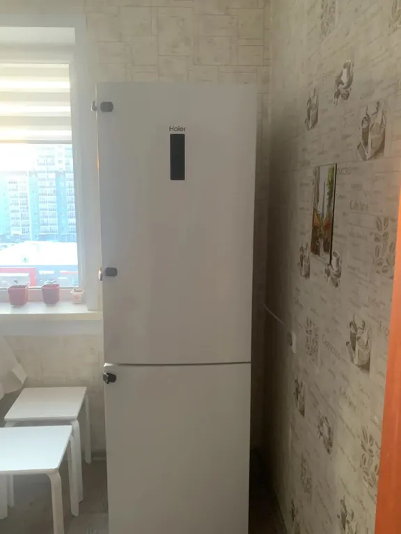 С питомцами, можно!