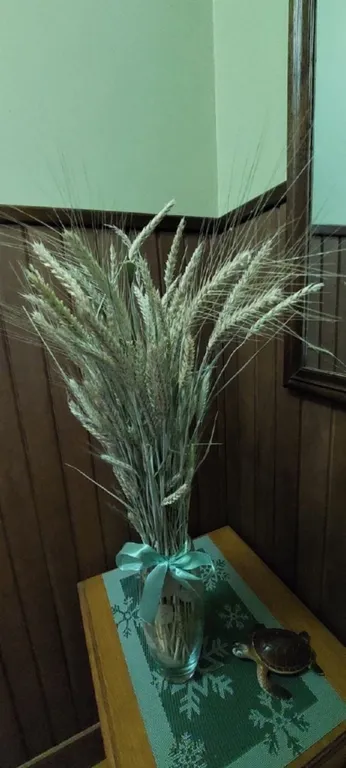 Квартира Комната — Анапа