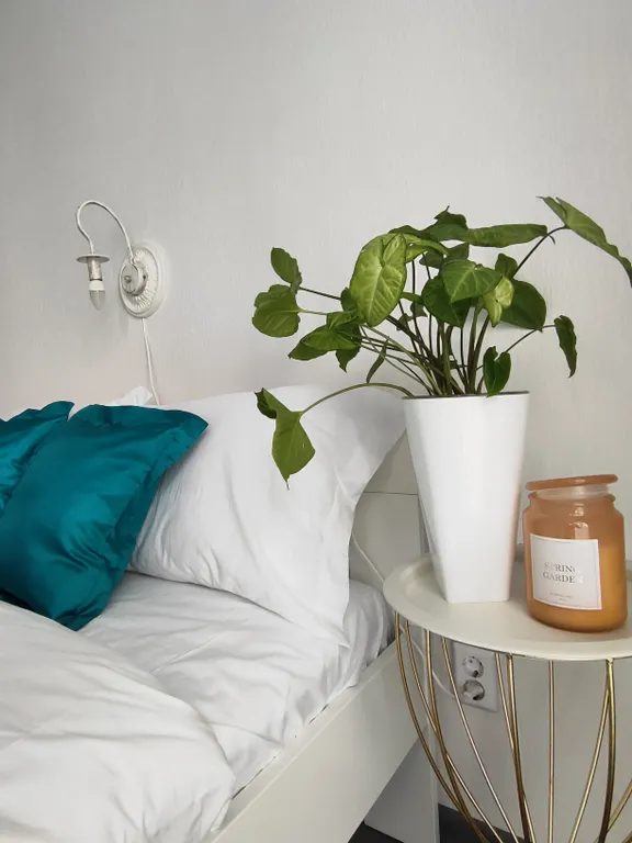 Солнечная студия от собственника