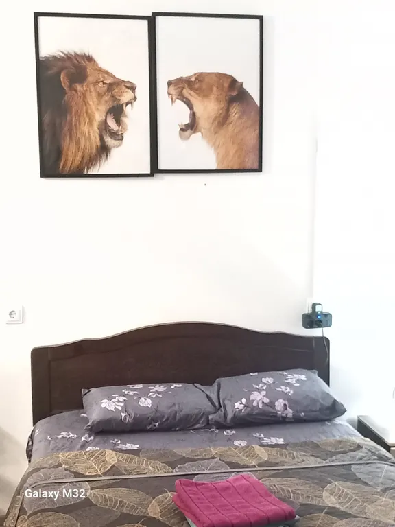 Уютная студия с видом на реку Иртыш