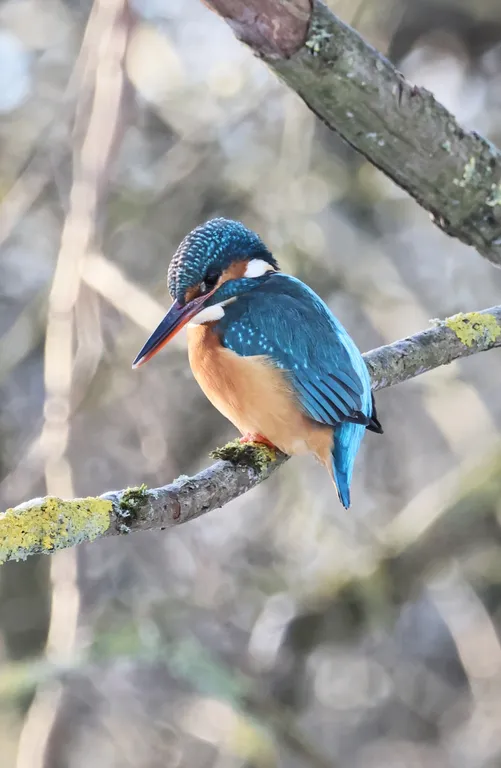 Загородная усадьба