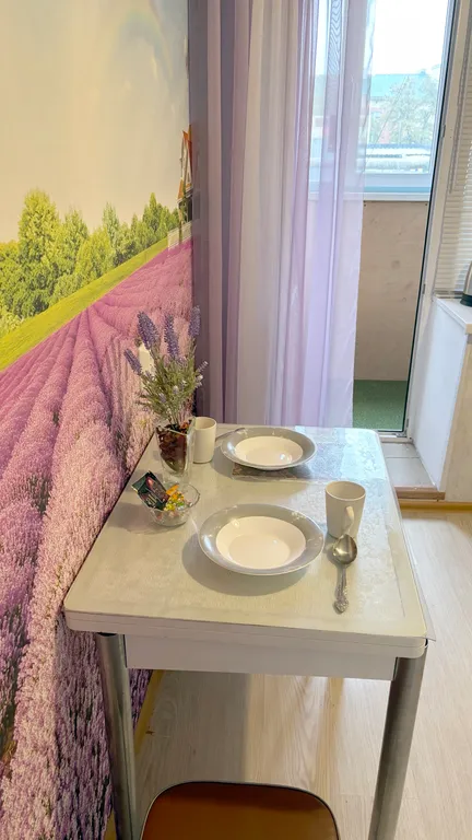 Однокомнатная в Петра Дубраве