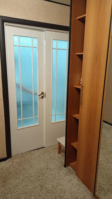 Квартира в Кировском парке