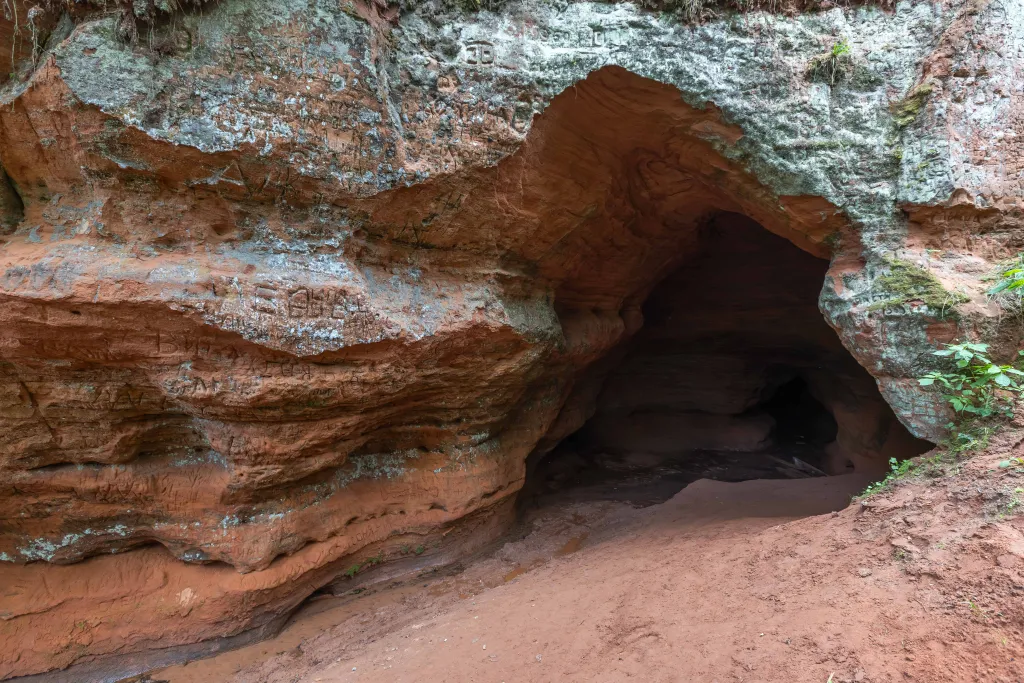 Коттедж 4-комнатный Дом — Санкт-Петербург