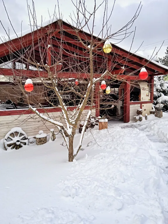 Коттедж под Минском с баней, озером, беседкой