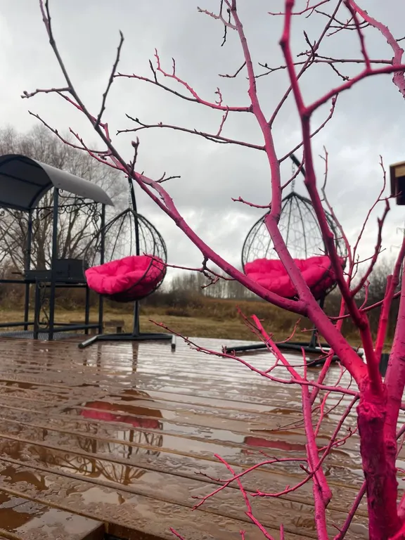 Дом с розовым чаном