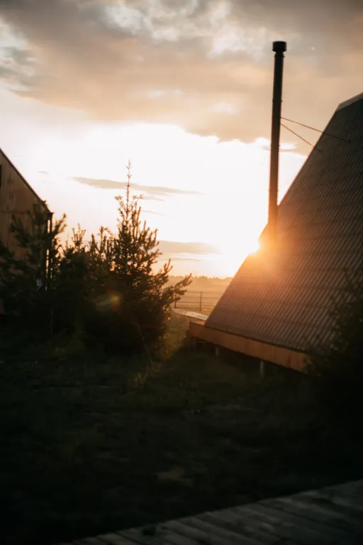 Бурый Медведь