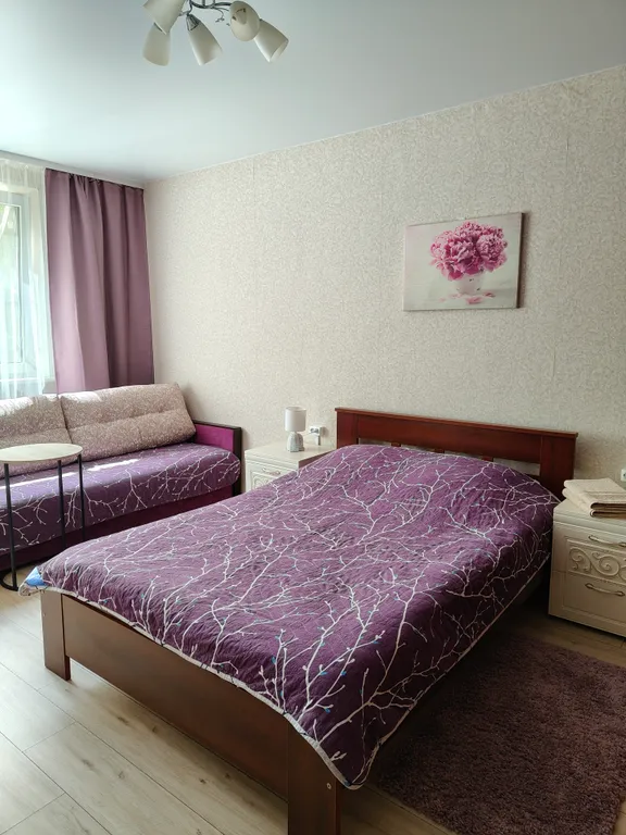 Квартира Уютные апартаменты в центре — аренда посуточно в Воскресенск