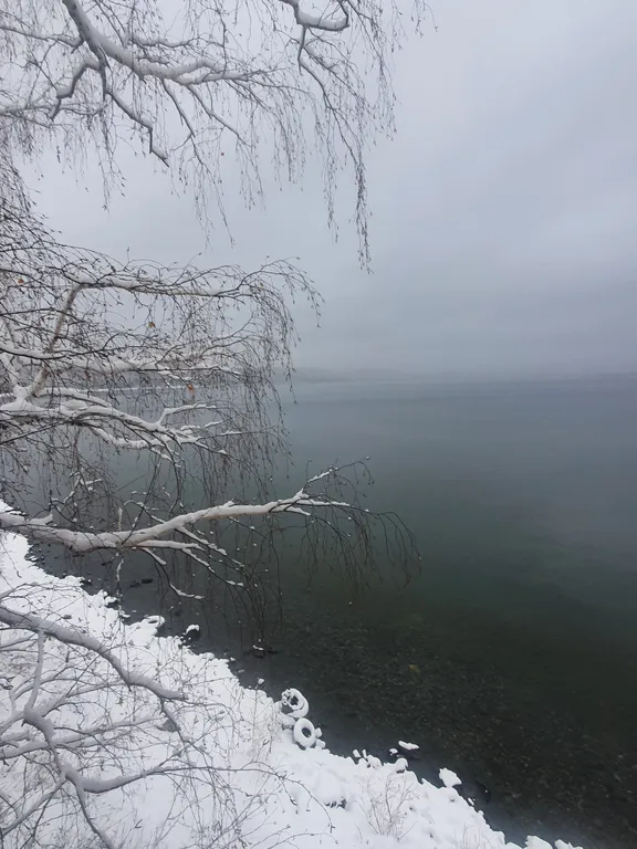 301 Студия на двоих