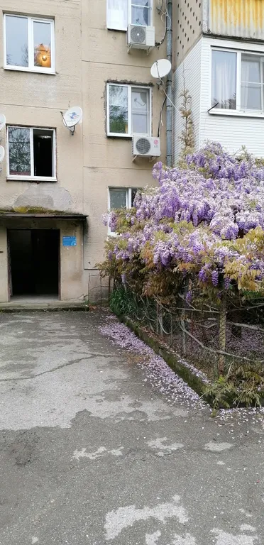 Квартира у моря