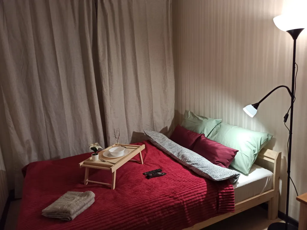 Квартира-студия для семейной пары — аренда посуточно в Новосибирск