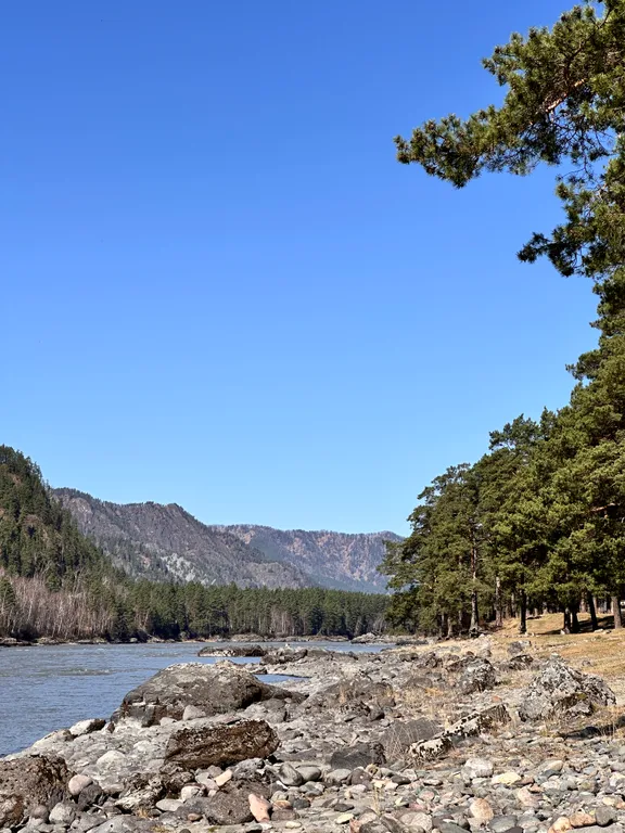 Новый круглогодичный 3-й коттедж на берегу Катуни