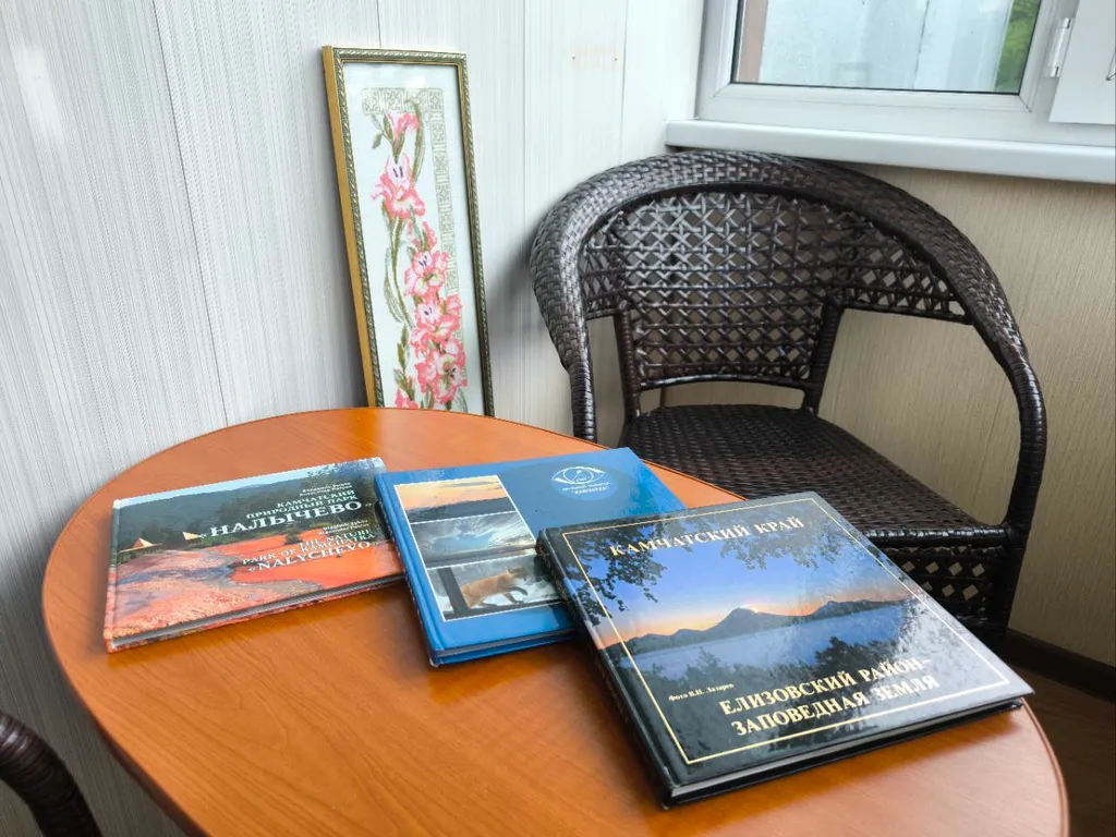 Уютная квартира на Камчатке в Елизово