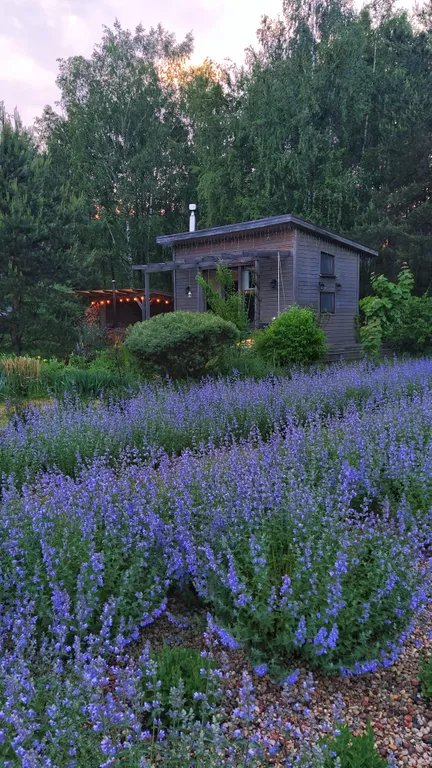 Дом в пуще в 50 км от Минска на хуторе