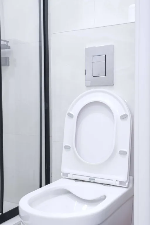 Квартира 1-комнатная Квартира — Сириус