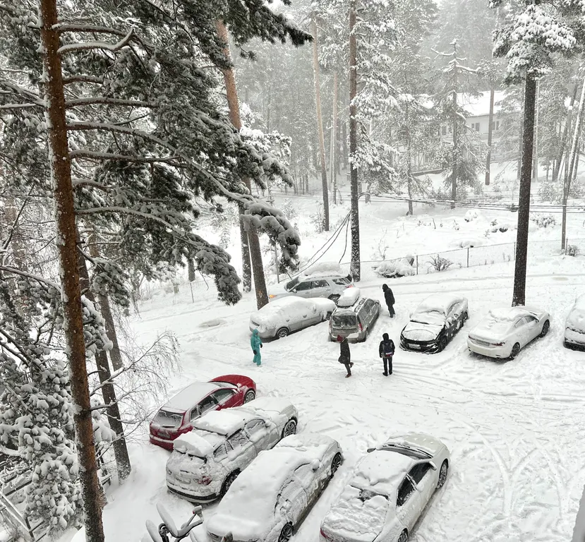 Уютная квартира в горах Эльбруса