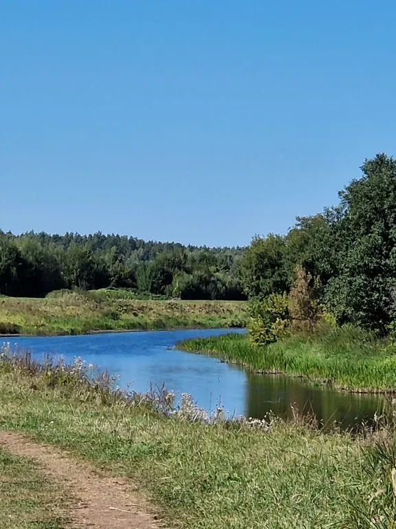 Дом Шепот леса